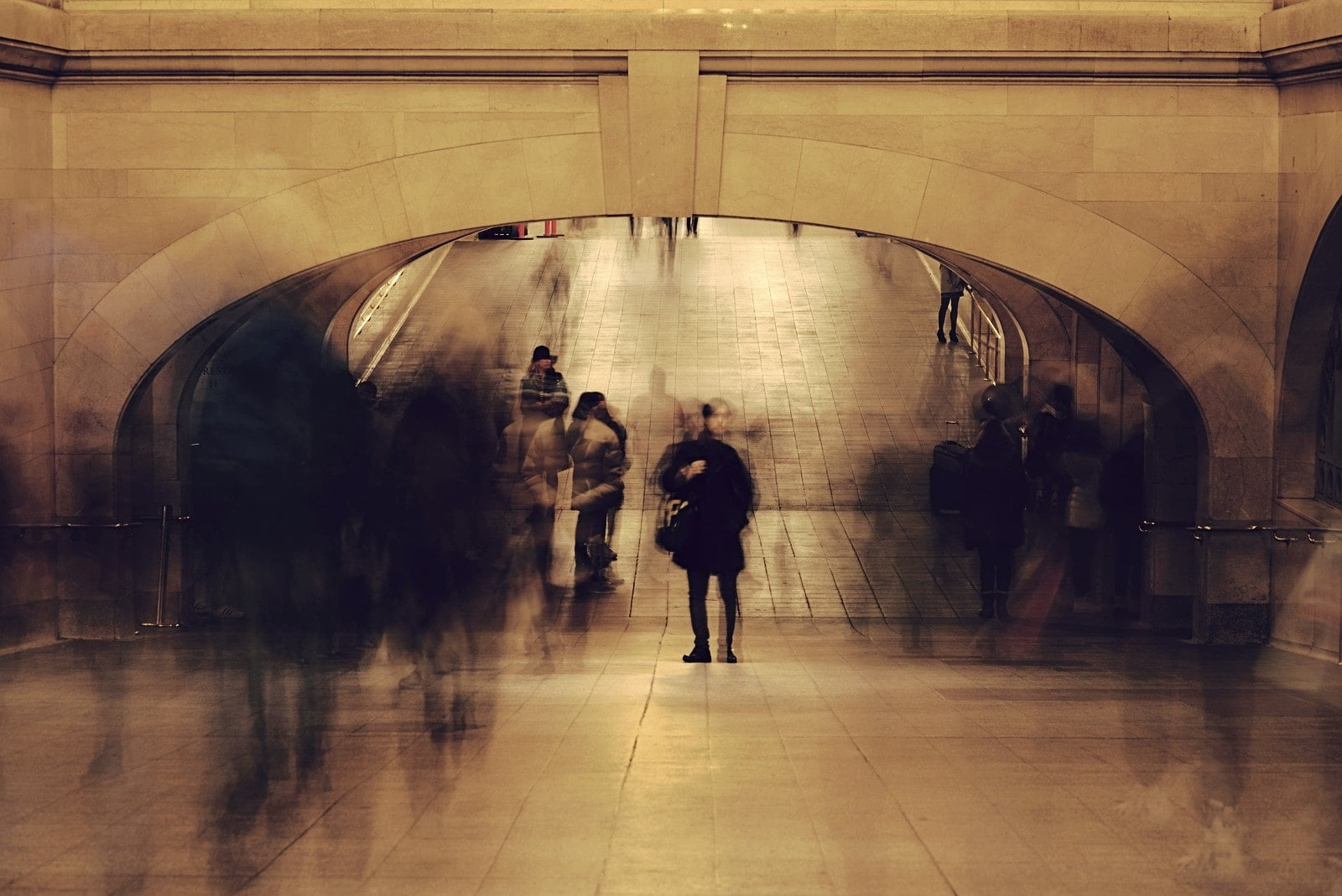 official website - short film cookie produced by vicente 2020